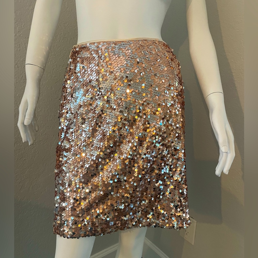 Gorgeous sequin skirt by Boston Proper